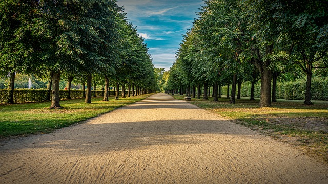 Investing in Your Future: A Beginner’s Guide